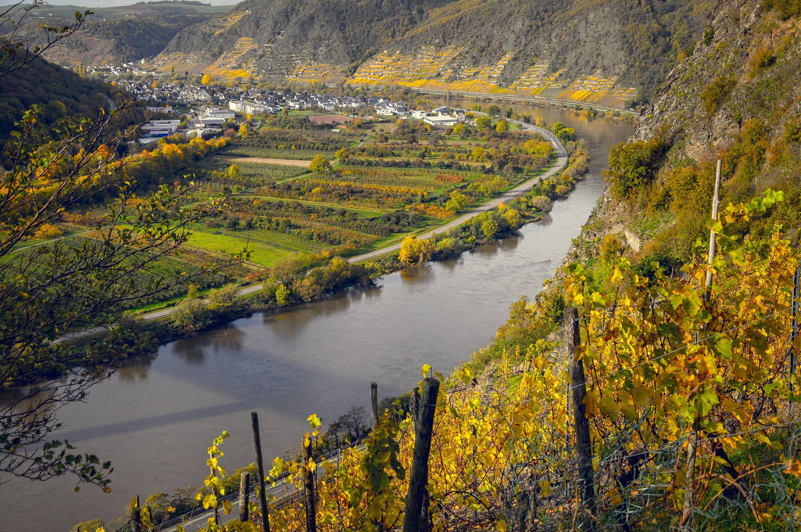 vineyards, mosel, germany
